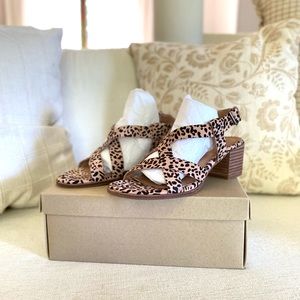 Madewell Alyssa cheetah print calf hair asymmetrical strap leather sandals